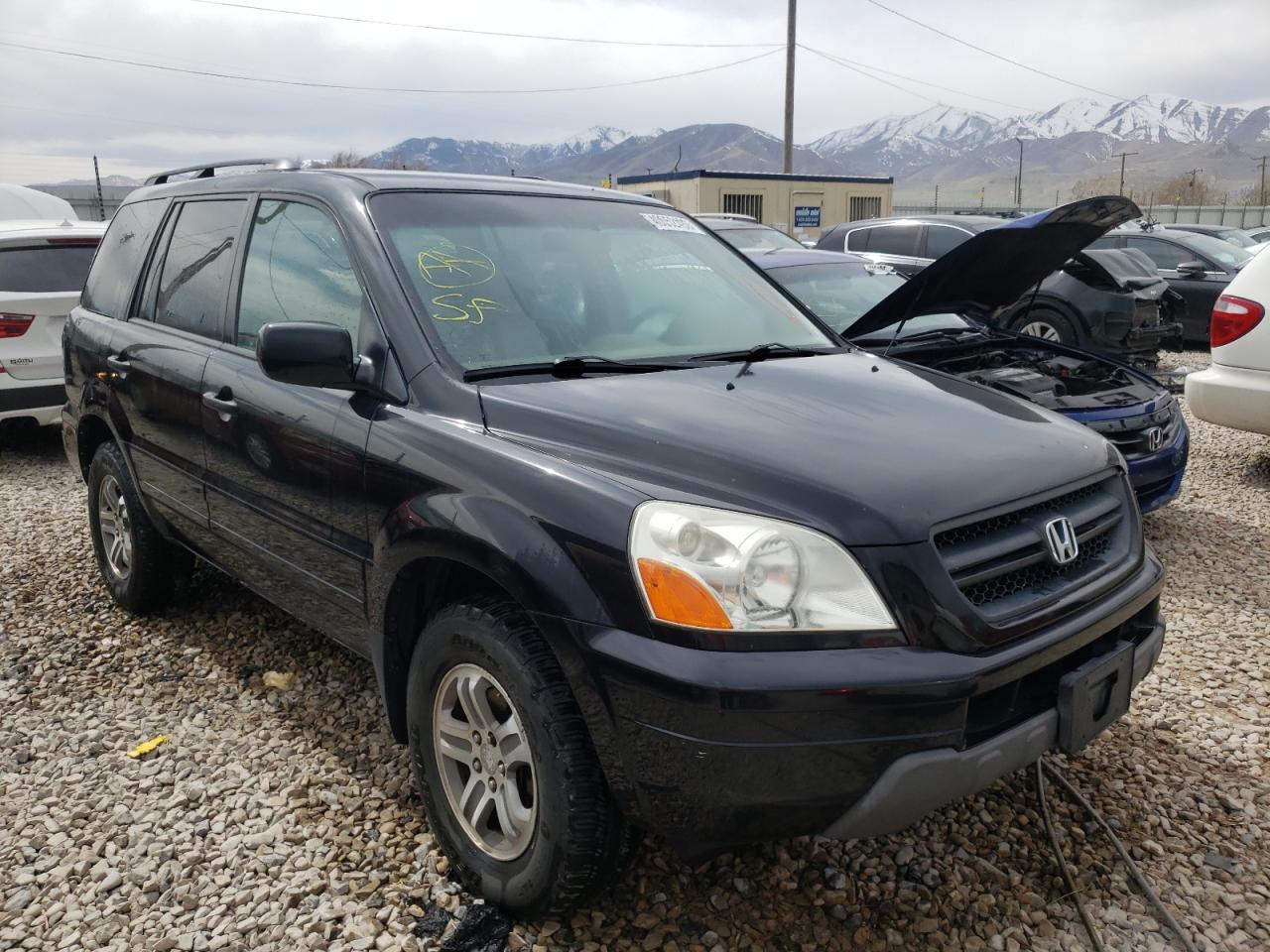 HONDA PILOT 2004 with VIN 2HKYF18754H593033 - Photo from auction