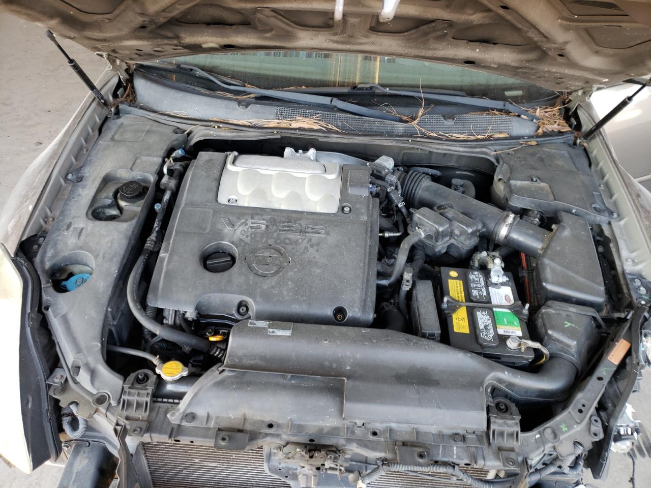 Photo 7 from auction – 2004 NISSAN MAXIMA SE with VIN 1N4BA41E84C866546