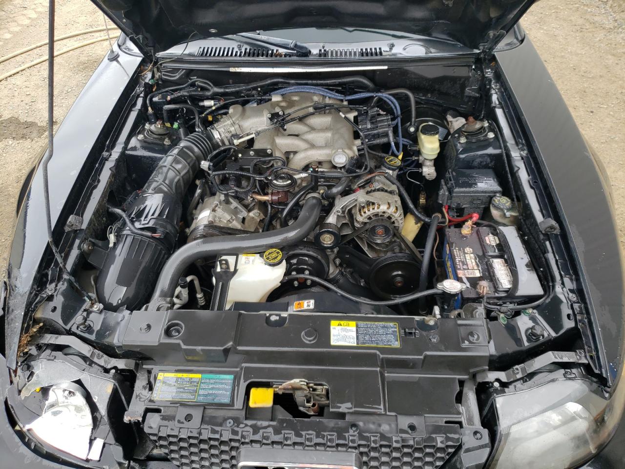 Photo 7 from auction – 2004 FORD MUSTANG with VIN 1FAFP40674F137530