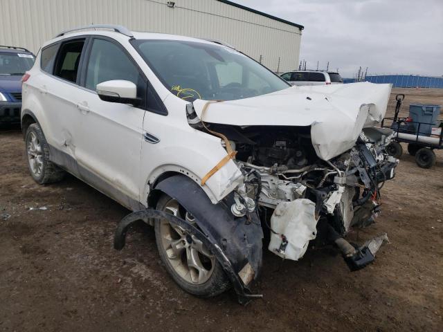 FORD ESCAPE TIT 2014 with VIN 1FMCU9J93EUC79295 - Photo from auction