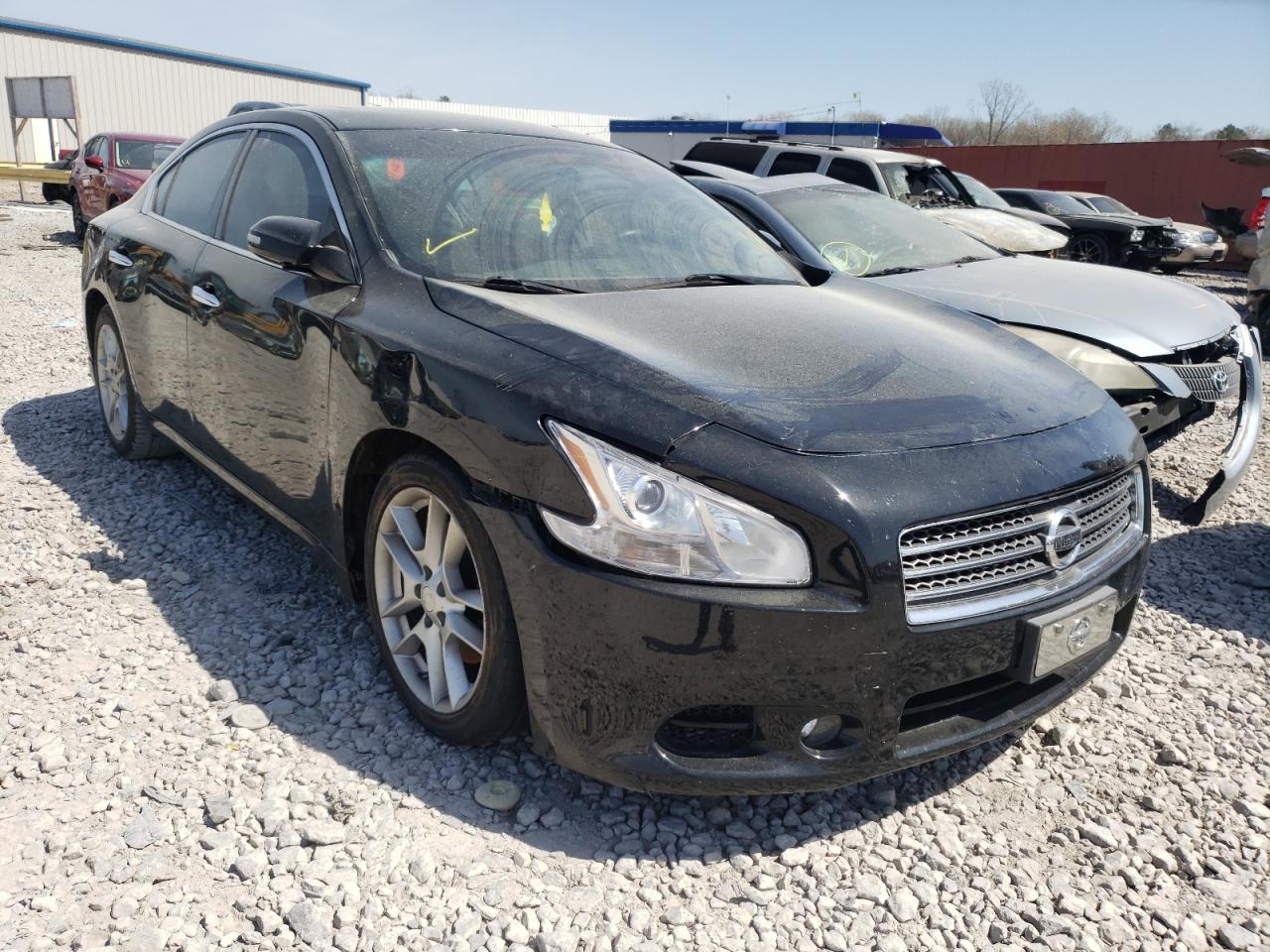 NISSAN MAXIMA S 2009 with VIN 1N4AA51E59C835604 - Photo from auction