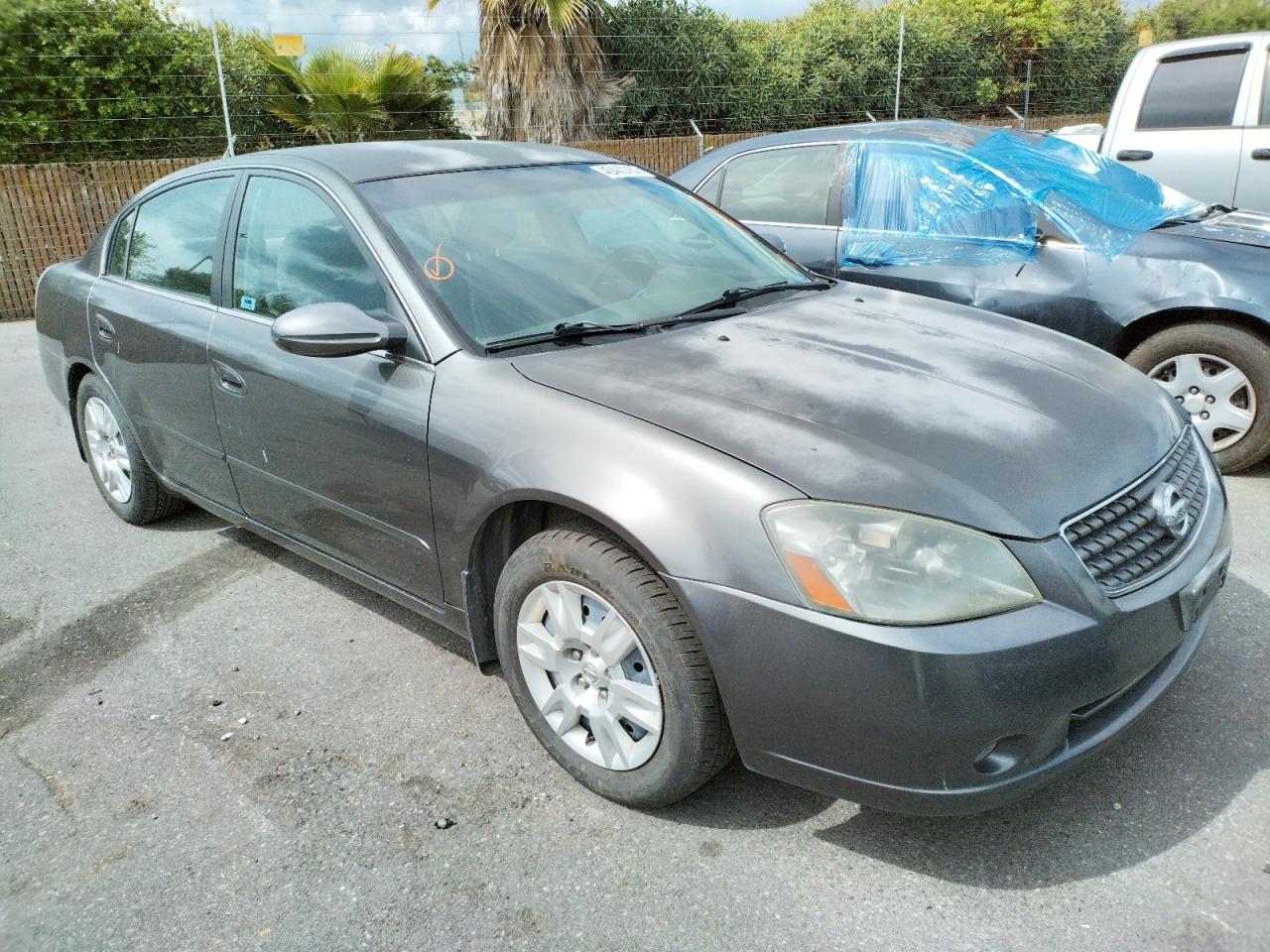 NISSAN ALTIMA S 2006 with VIN 1N4AL11D06C237815 - Photo from auction