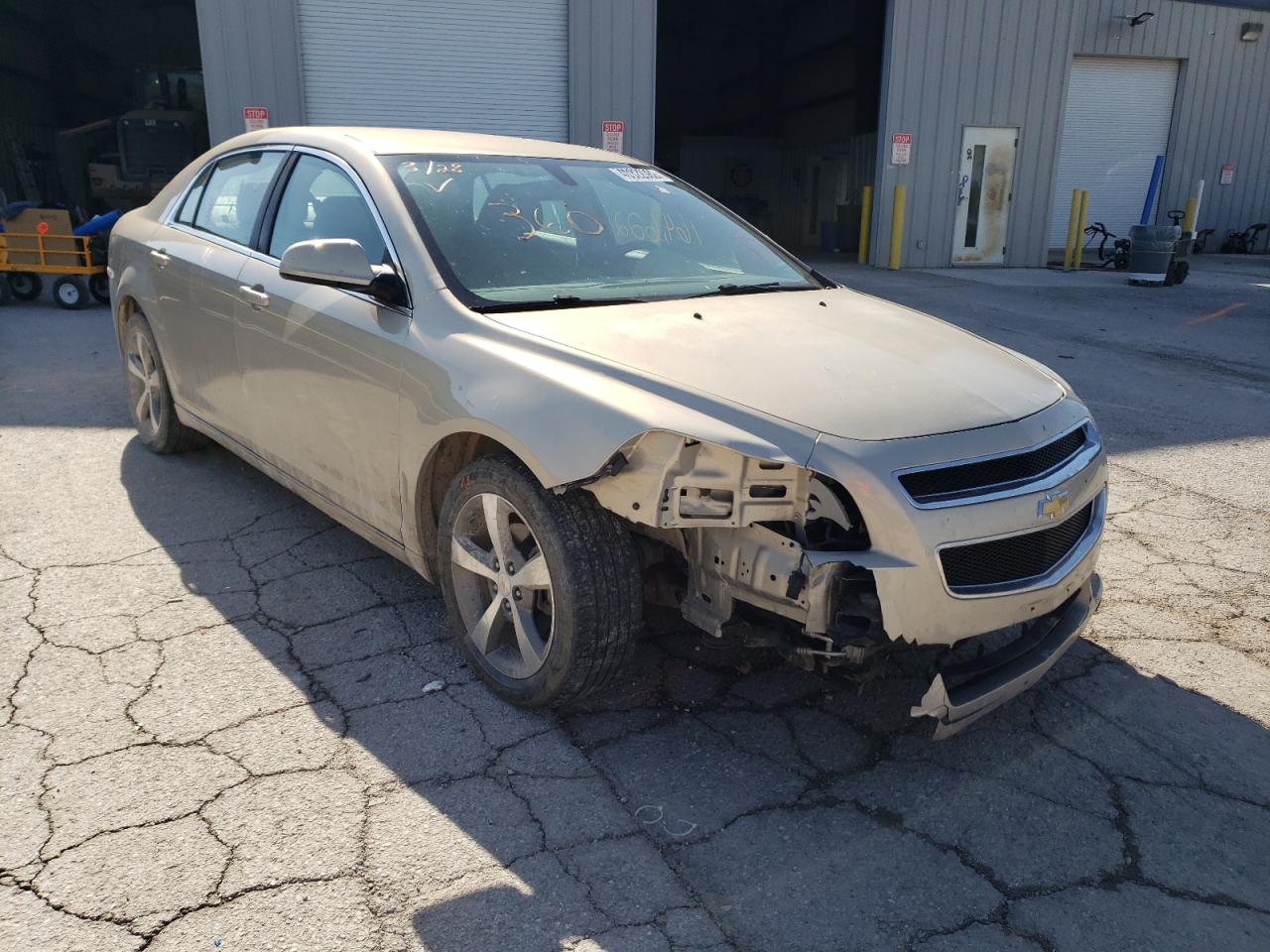 CHEVROLET MALIBU 1LT 2011 with VIN 1G1ZC5EU9BF181034 - Photo from auction