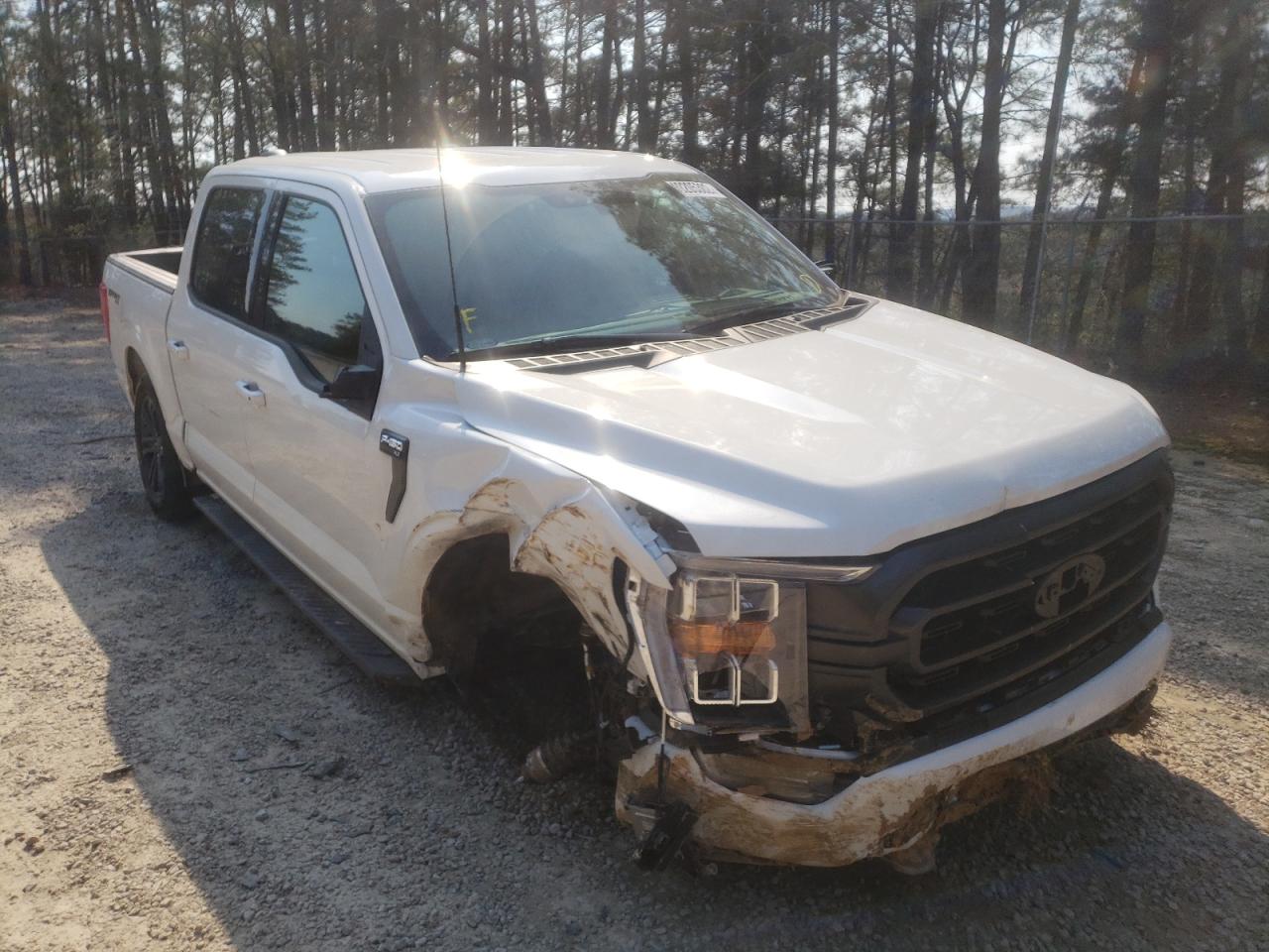 FORD F150 SUPER 2021 with VIN 1FTFW1E86MKE97367 - Photo from auction