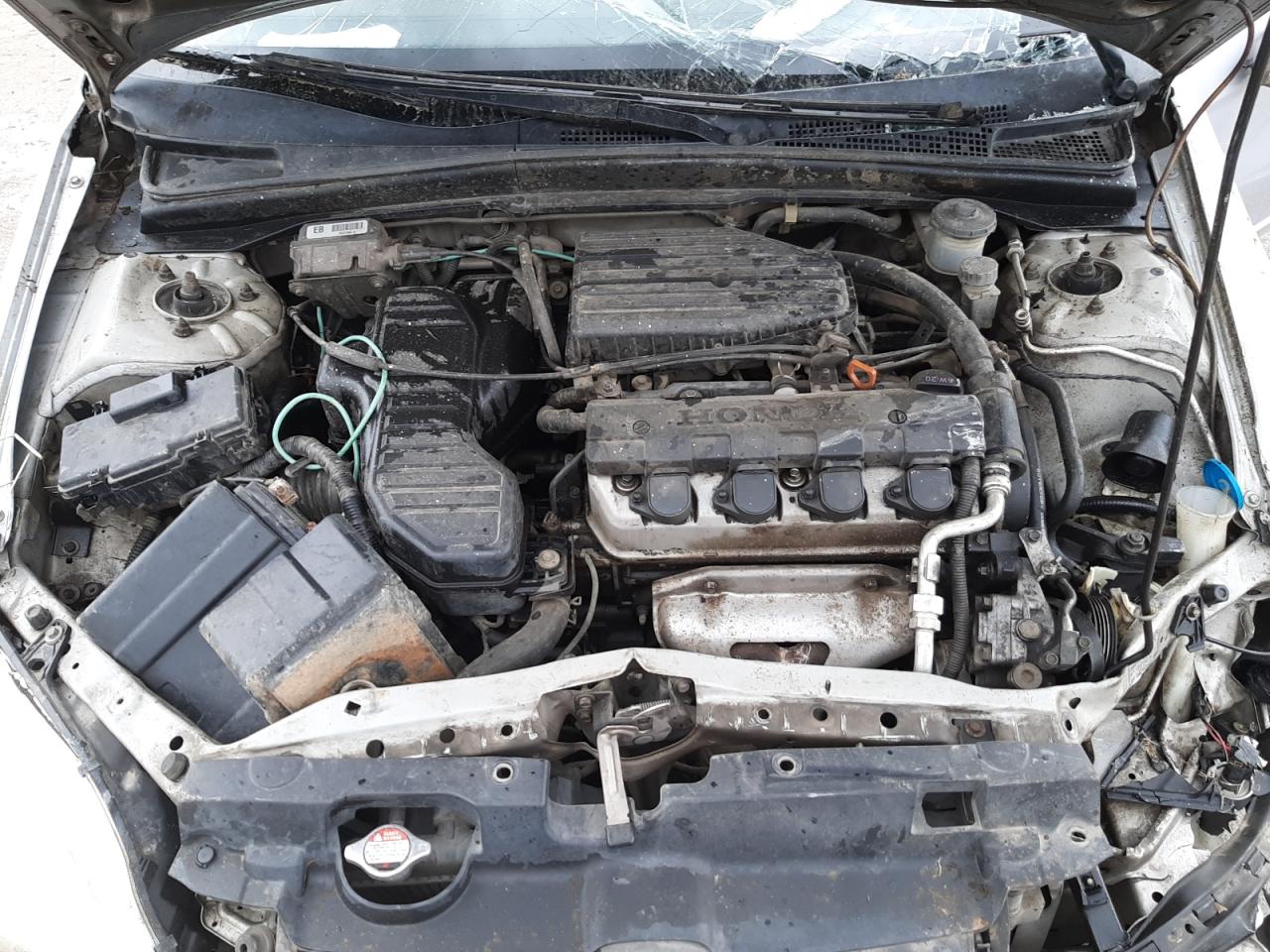 Photo 7 from auction – 2003 HONDA CIVIC LX with VIN 1HGEM215X3L025220