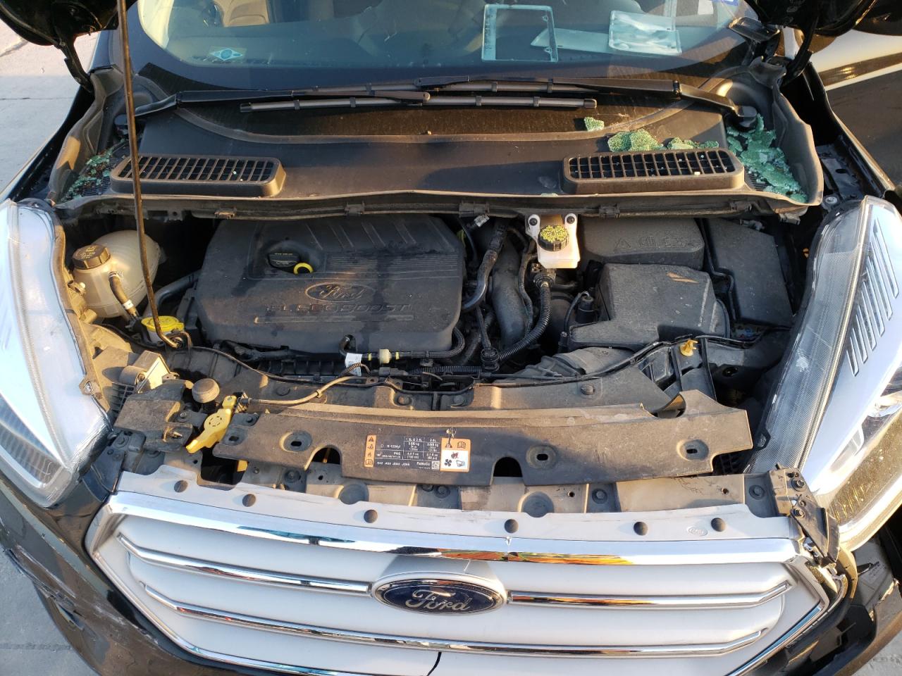 Photo 7 from auction – 2018 FORD ESCAPE SEL with VIN 1FMCU0HD7JUA71209