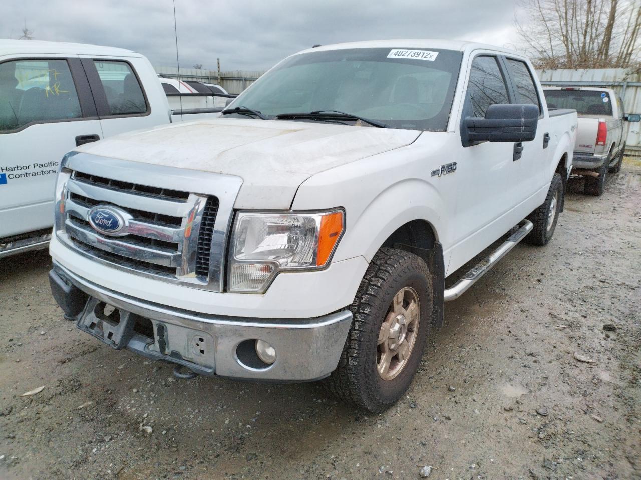 Photo 2 from auction – 2010 FORD F150 with VIN 1FTFW1EV8AFD07160
