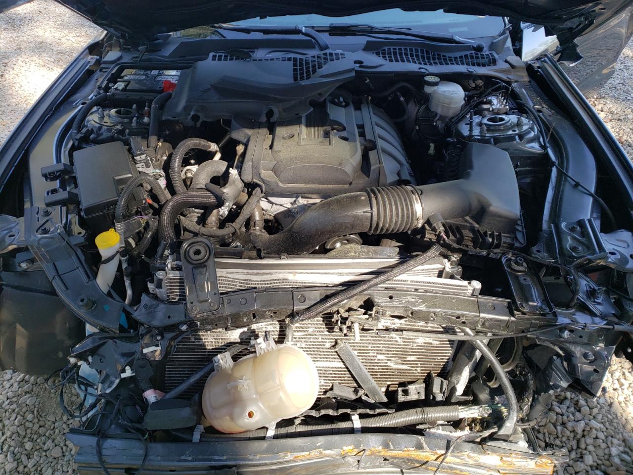 Photo 7 from auction – 2019 FORD MUSTANG with VIN 1FA6P8TH7K5166548