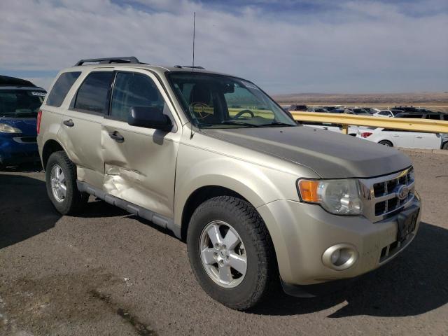 Photo 1 from auction – 2010 FORD ESCAPE XLT with VIN 1FMCU0DG9AKA80196