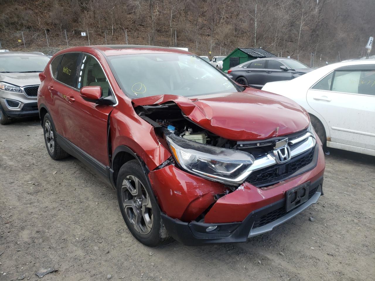 HONDA CR-V EX 2019 with VIN 2HKRW2H56KH612128 - Photo from auction