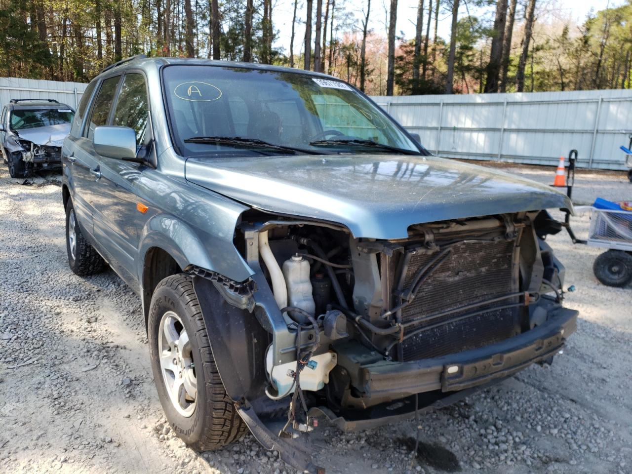 HONDA PILOT EX 2006 with VIN 5FNYF18646B020102 - Photo from auction