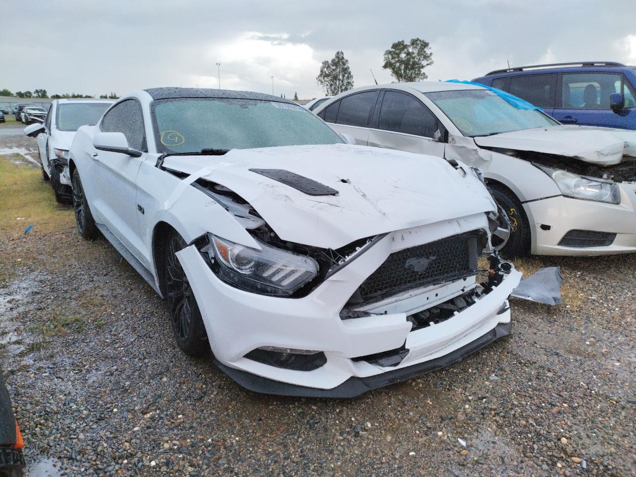 FORD MUSTANG GT 2017 with VIN 1FA6P8CF7H5229350 - Photo from auction