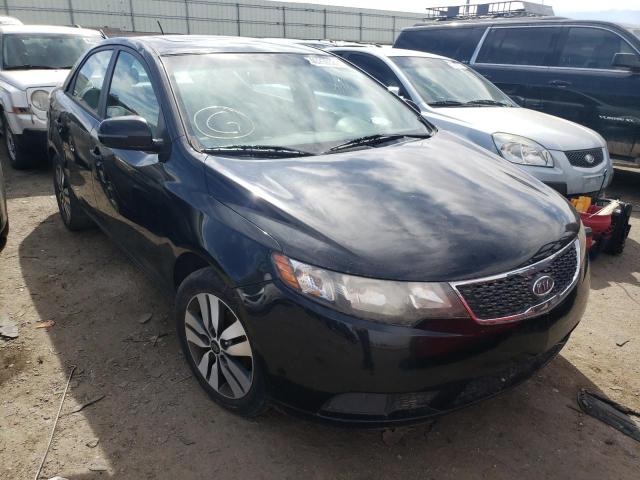 KIA FORTE EX 2013 with VIN KNAFU4A23D5733509 - Photo from auction