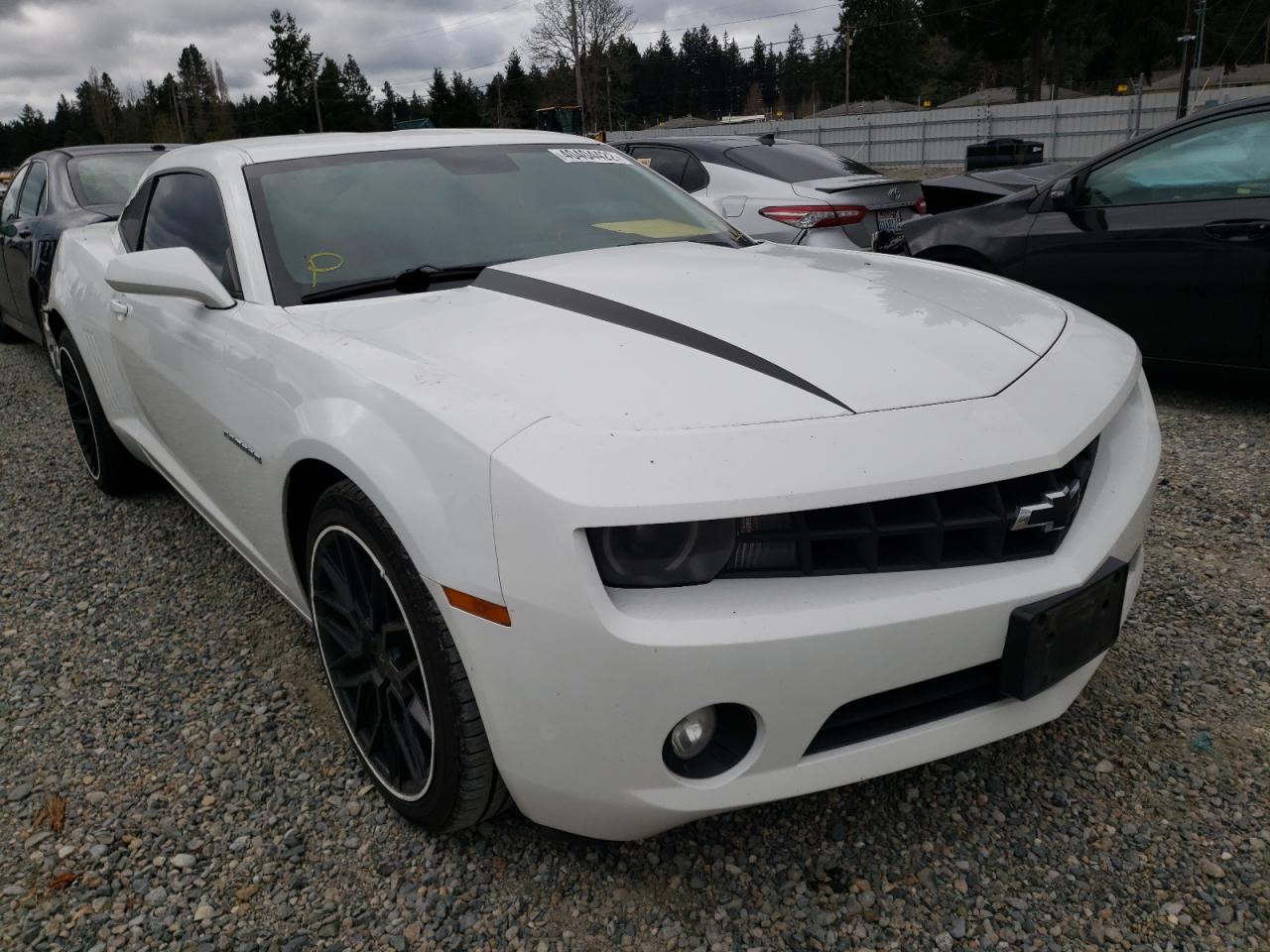 CHEVROLET CAMARO LT 2010 with VIN 2G1FB1EV6A9184990 - Photo from auction