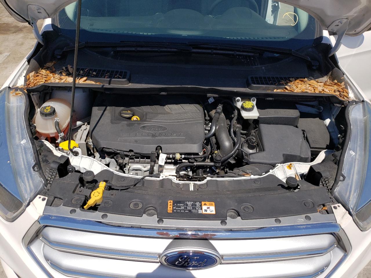 Photo 7 from auction – 2017 FORD ESCAPE SE with VIN 1FMCU0GDXHUB43404