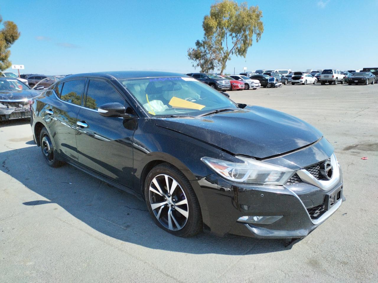 NISSAN MAXIMA 3.5 2017 with VIN 1N4AA6AP6HC385855 - Photo from auction