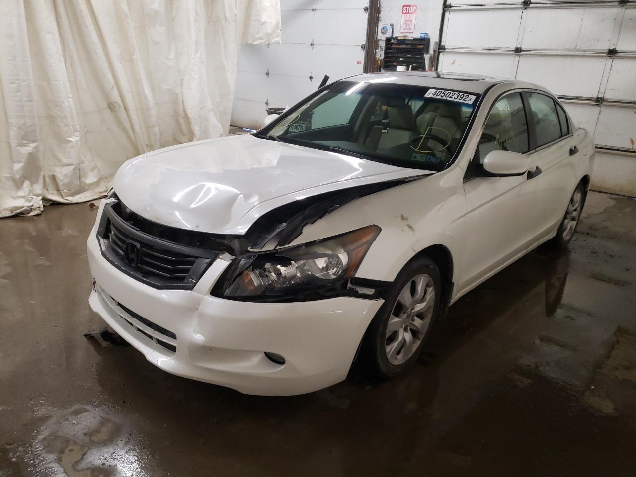 Photo 2 from auction – 2010 HONDA ACCORD EXL with VIN 5KBCP3F88AB005541