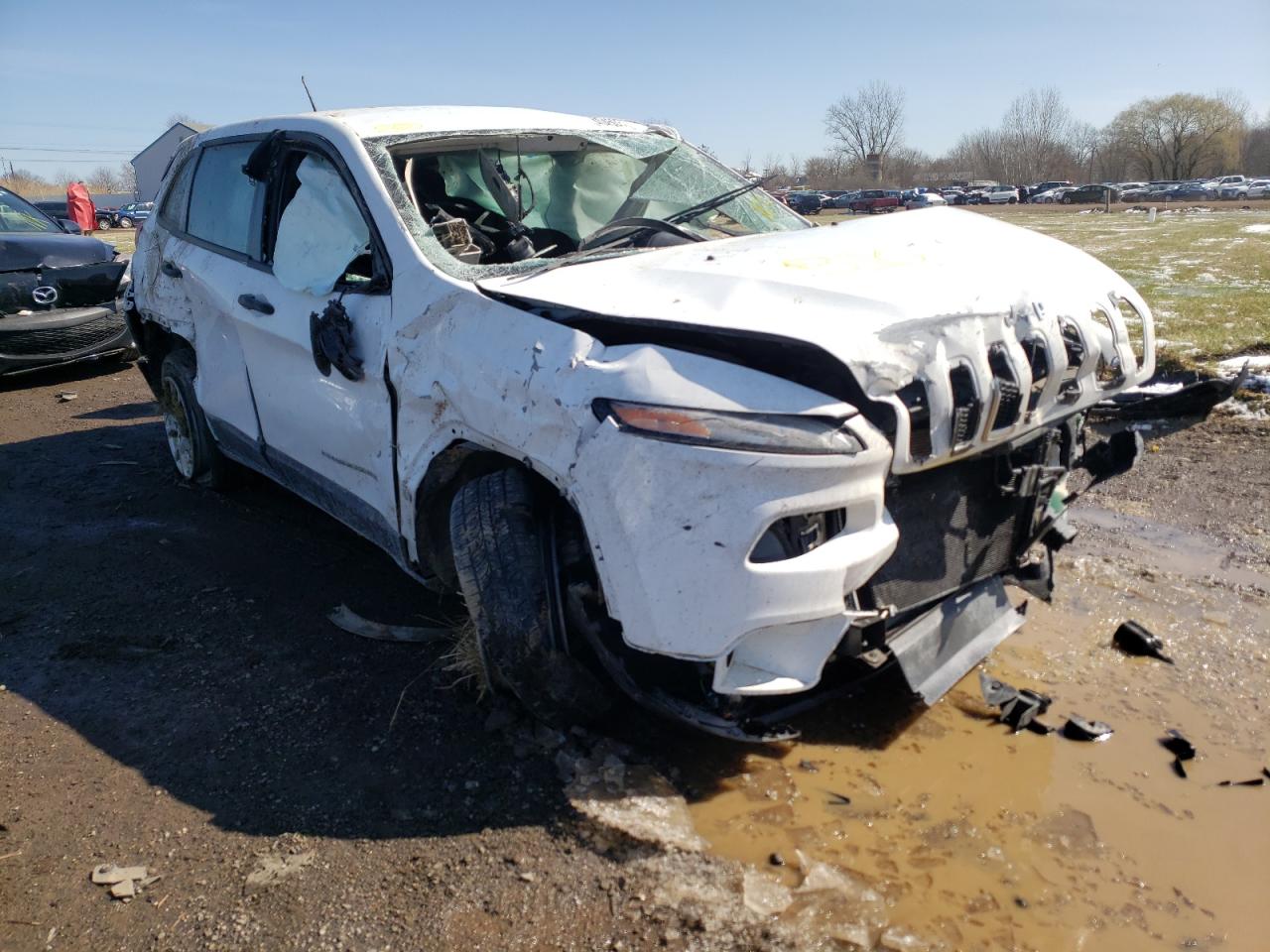 JEEP CHEROKEE S 2014 with VIN 1C4PJMABXEW317601 - Photo from auction