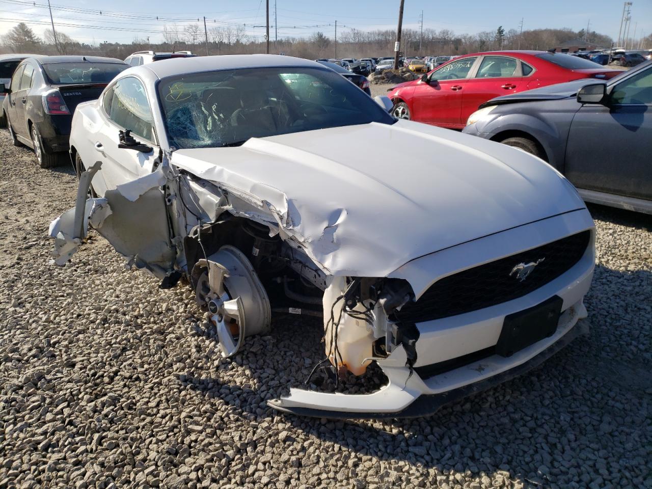 FORD MUSTANG 2017 with VIN 1FA6P8AM3H5288901 - Photo from auction