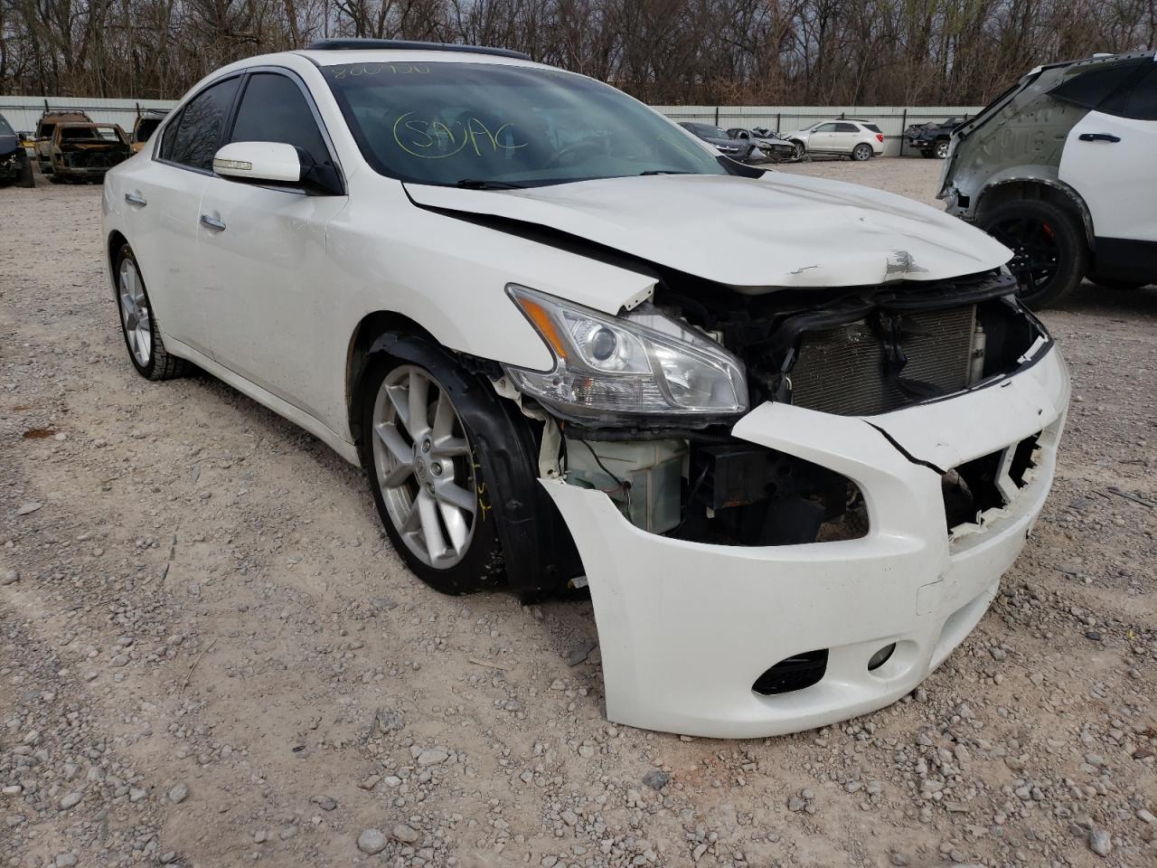 NISSAN MAXIMA S 2009 with VIN 1N4AA51E29C806920 - Photo from auction