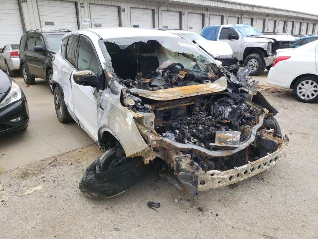 FORD ESCAPE SE 2017 with VIN 1FMCU9GD1HUD25870 - Photo from auction