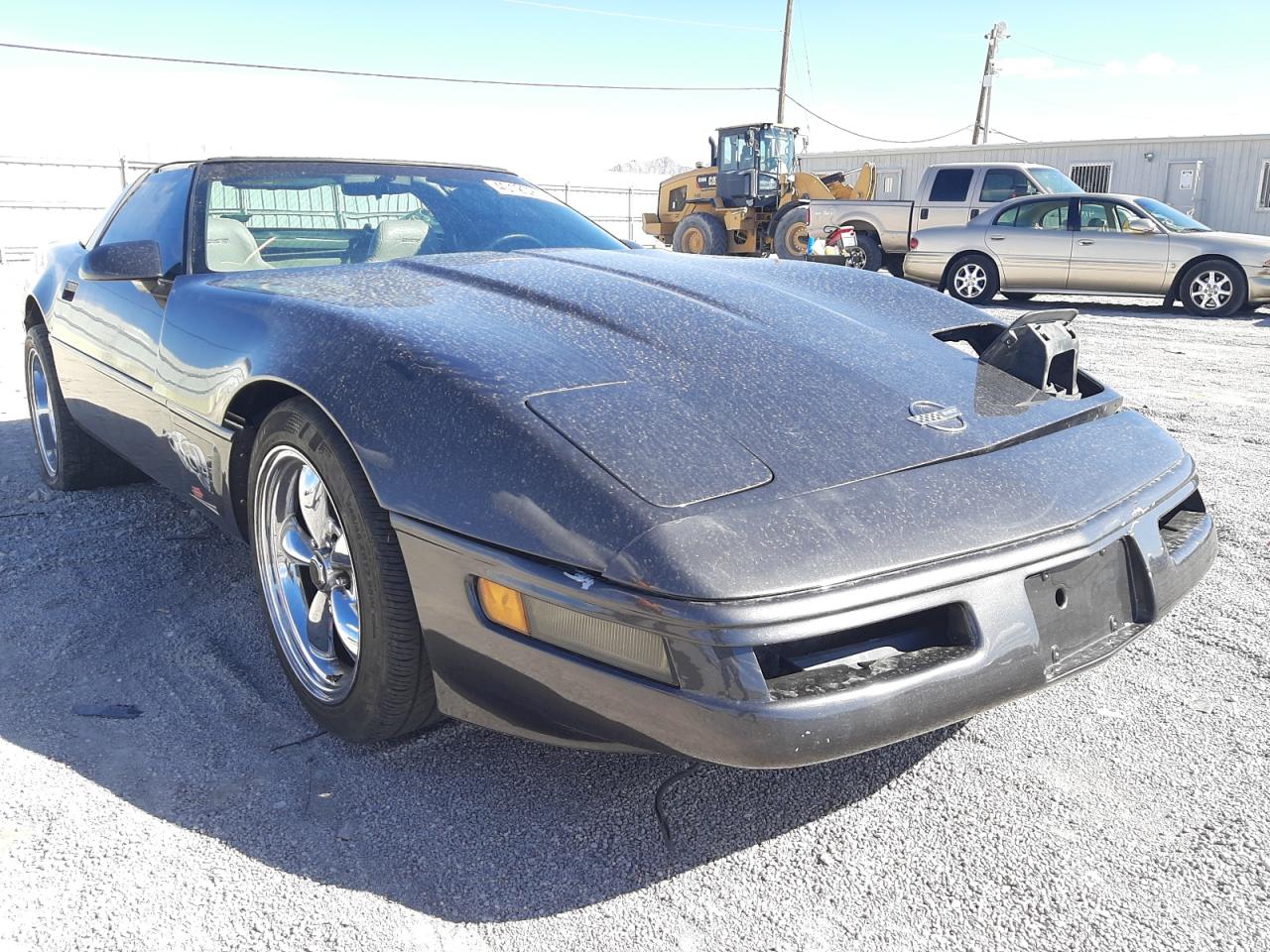 CHEVROLET CORVETTE 1996 with VIN 1G1YY22P4T5101754 - Photo from auction