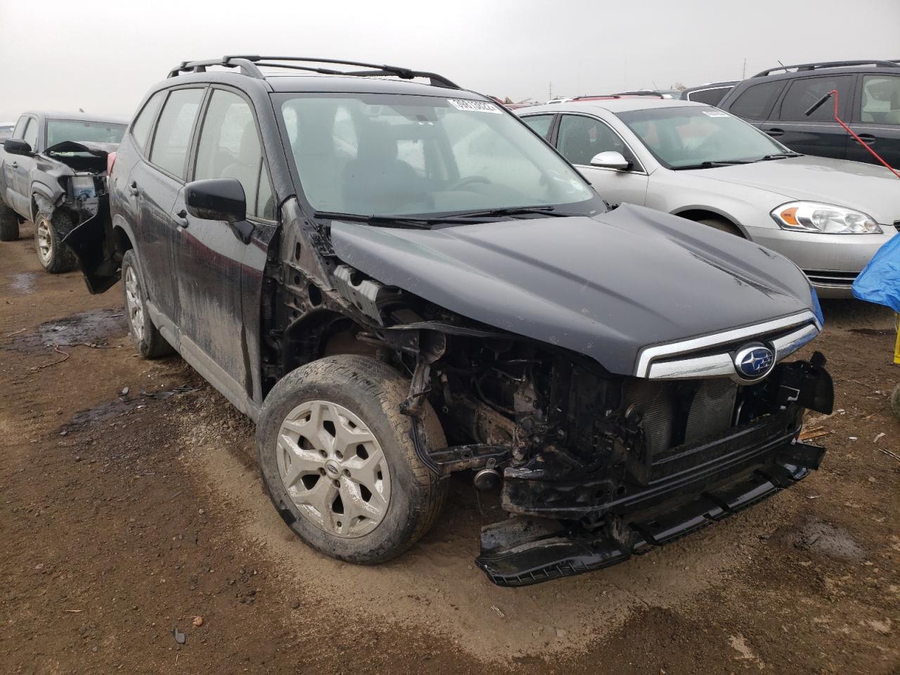 SUBARU FORESTER 2019 with VIN JF2SKACC5KH462431 - Photo from auction