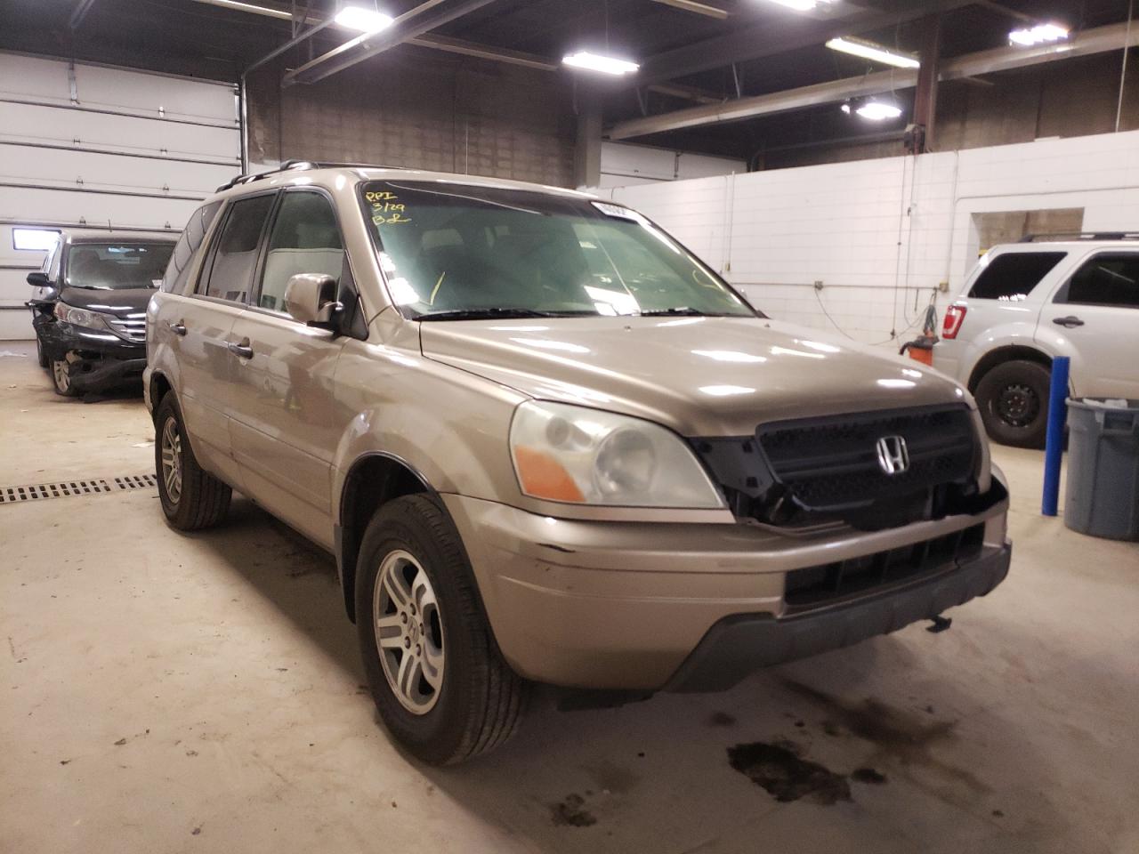 HONDA PILOT EX 2005 with VIN 5FNYF18475B036081 - Photo from auction