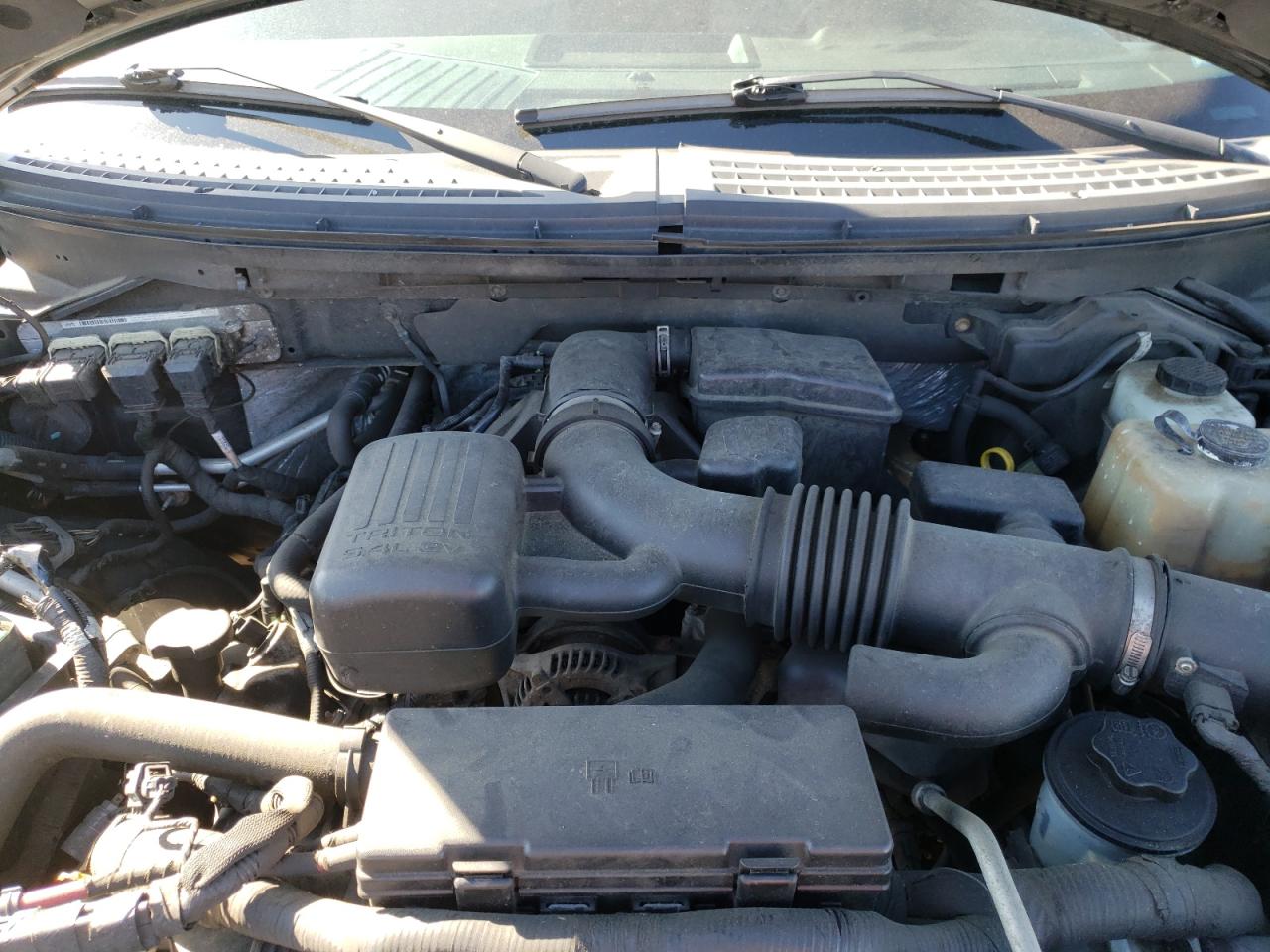 Photo 7 from auction – 2010 FORD F150 SUPER with VIN 1FTFW1EV9AFA29627