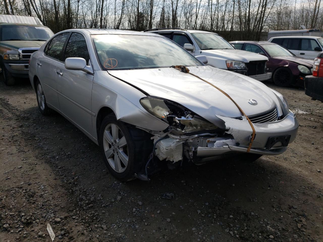 LEXUS ES 330 2005 with VIN JTHBA30G555087861 - Photo from auction