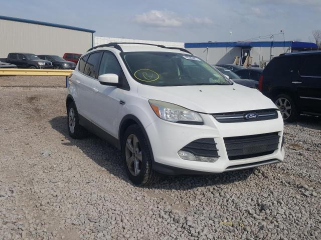 FORD ESCAPE SE 2014 with VIN 1FMCU0GX5EUC08424 - Photo from auction