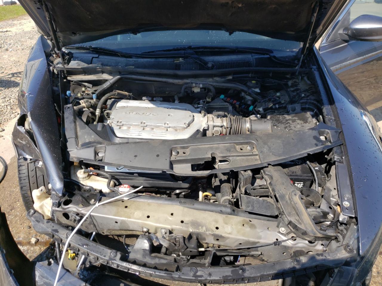 Photo 7 from auction – 2011 HONDA ACCORD EXL with VIN 1HGCS2B86BA004302