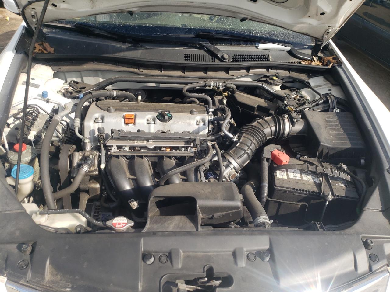 Photo 7 from auction – 2010 HONDA ACCORD EXL with VIN 1HGCP2F84AA125422