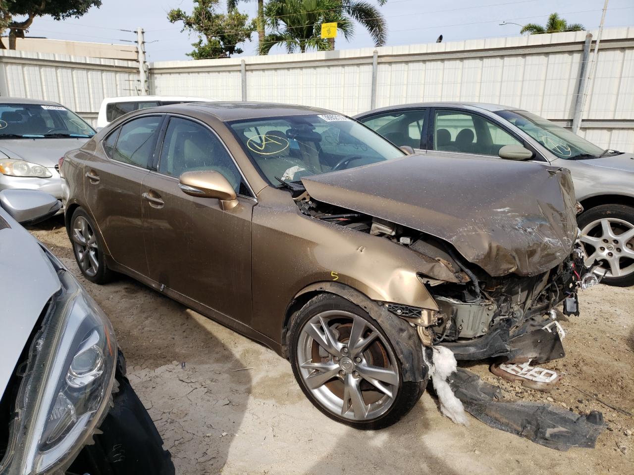 LEXUS IS 250 2009 with VIN JTHBK262492091474 - Photo from auction