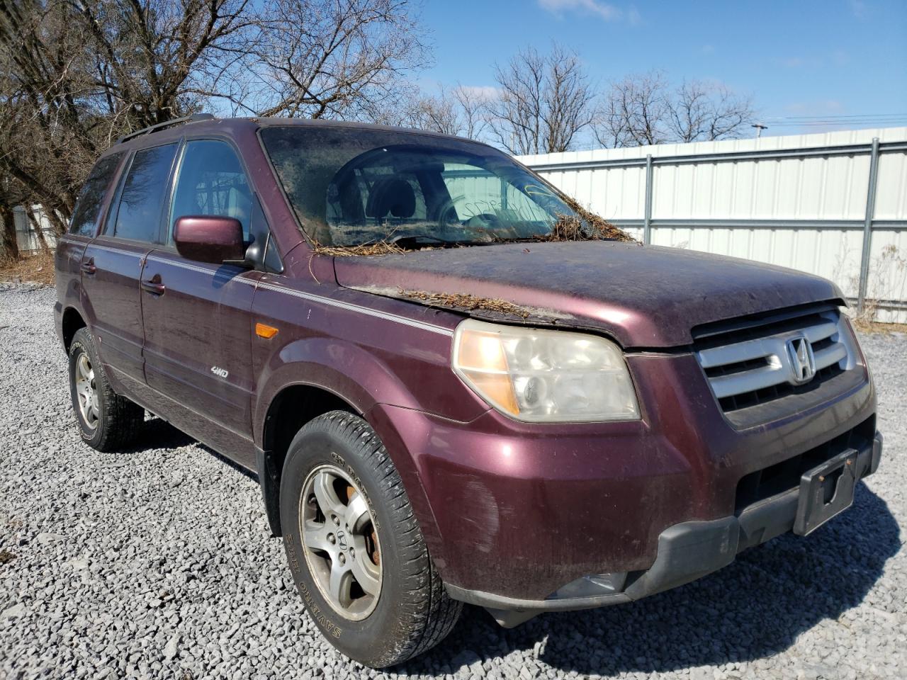 HONDA PILOT SE 2008 with VIN 5FNYF18338B010475 - Photo from auction