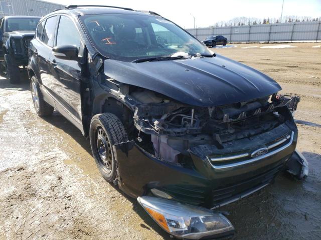 FORD ESCAPE TIT 2013 with VIN 1FMCU9J99DUD73440 - Photo from auction