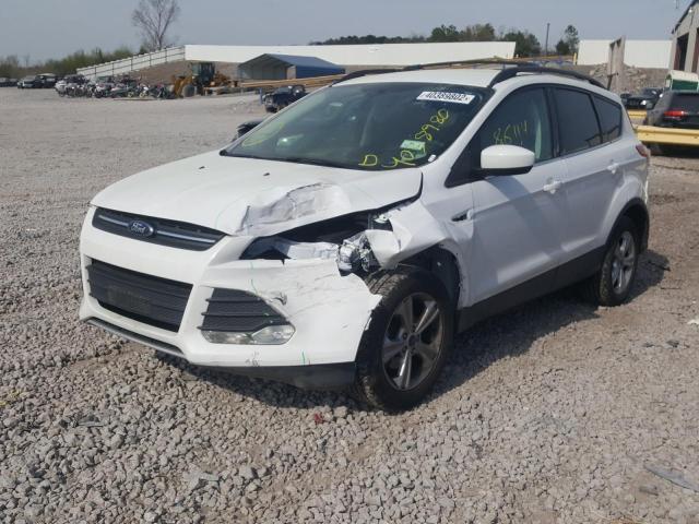 Photo 2 from auction – 2014 FORD ESCAPE SE with VIN 1FMCU0GX5EUC08424
