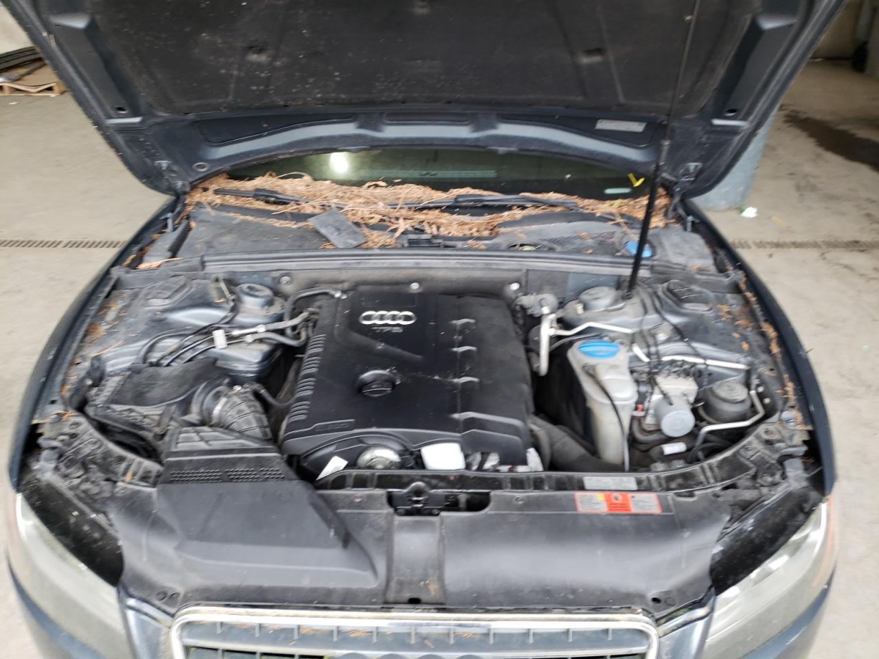 Photo 7 from auction – 2010 AUDI A5 PREMIUM with VIN WAULFAFRXAA041588