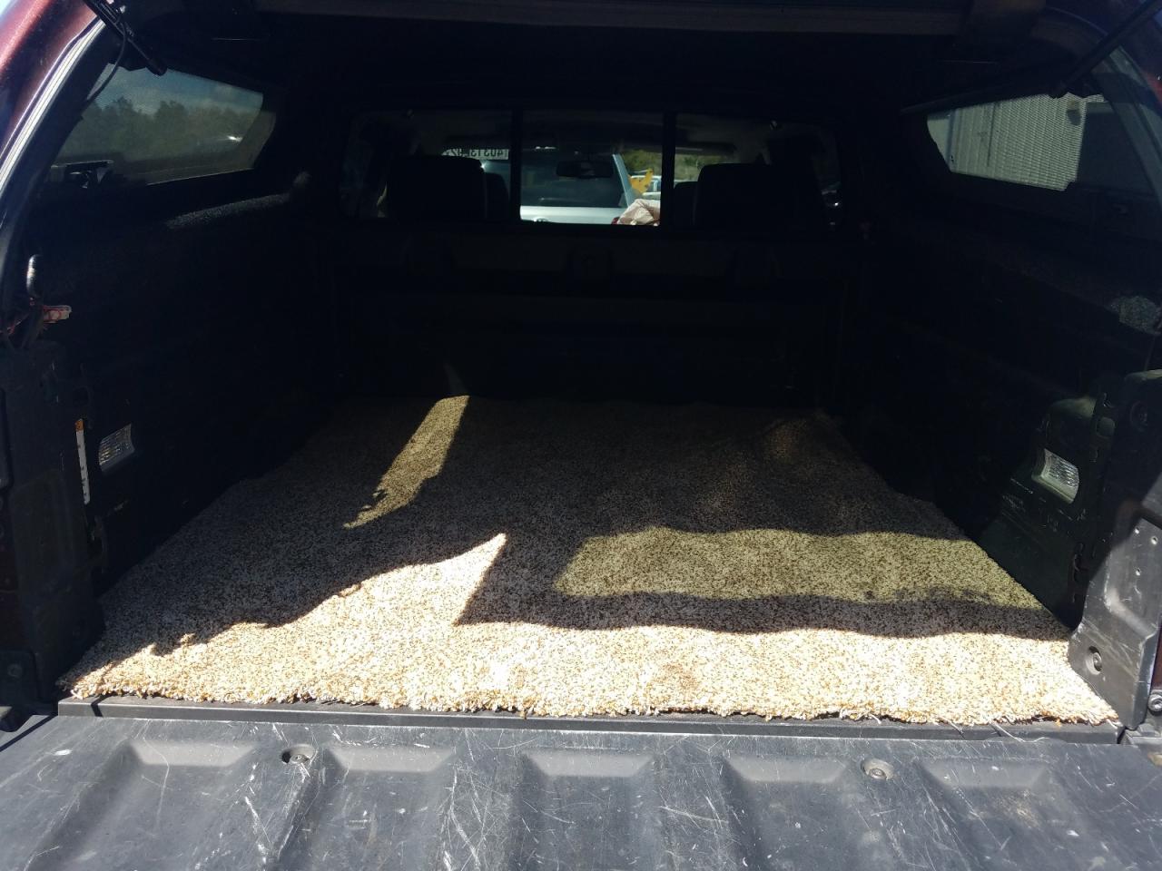 Photo 9 from auction – 2013 HONDA RIDGELINE with VIN 5FPYK1F59DB015746