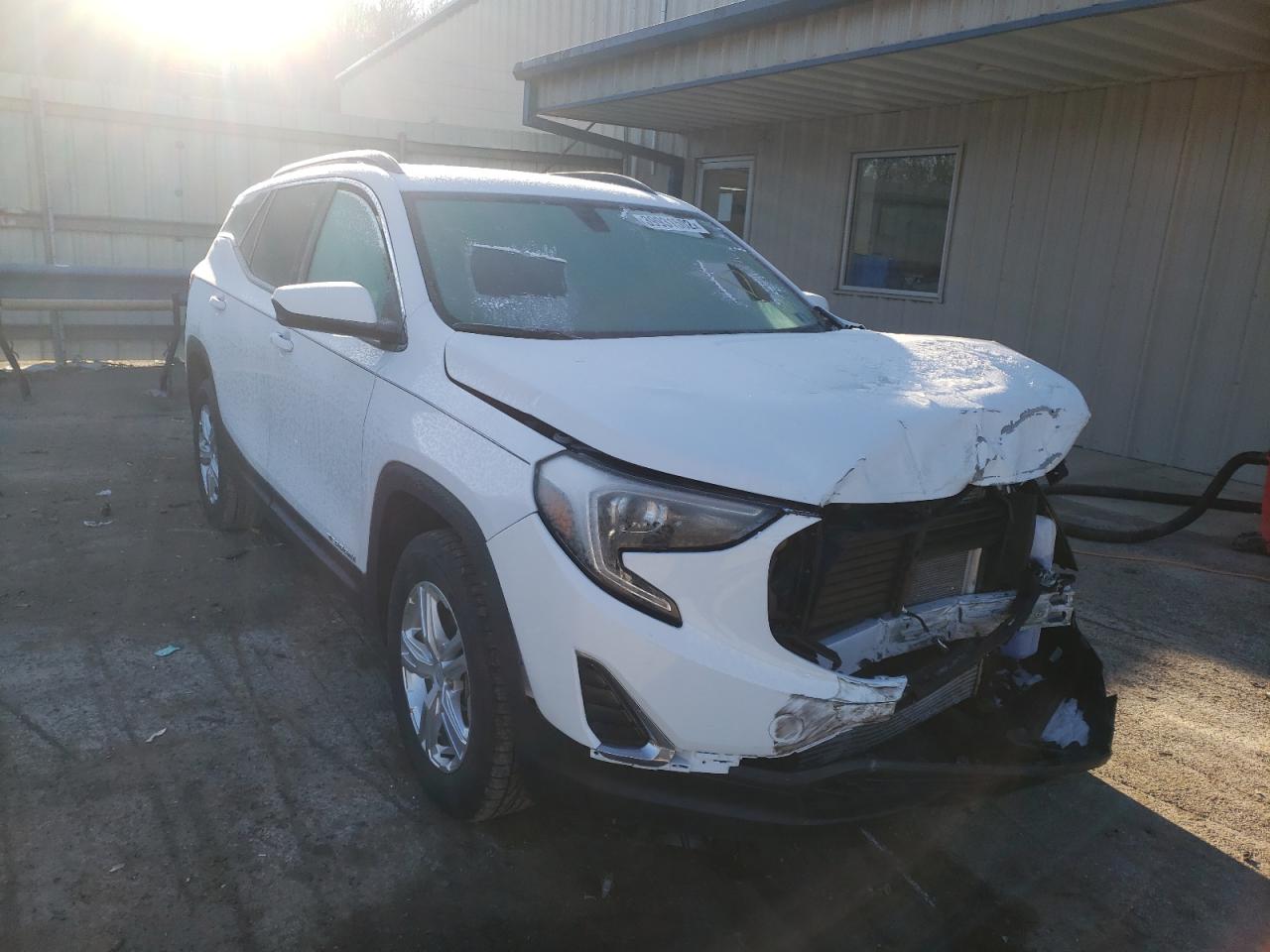 GMC TERRAIN SL 2019 with VIN 3GKALTEVXKL113160 - Photo from auction