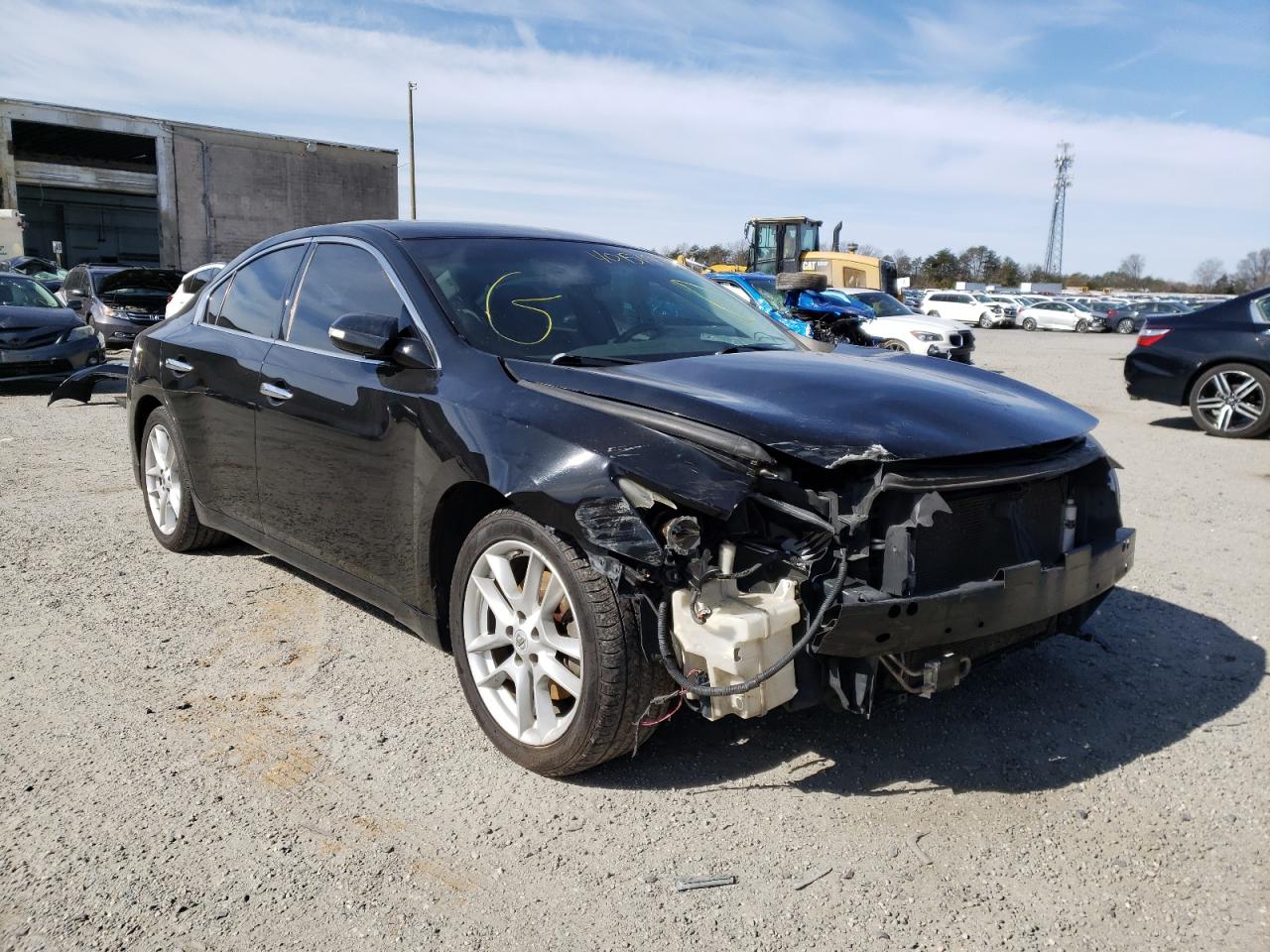 NISSAN MAXIMA S 2011 with VIN 1N4AA5AP1BC806303 - Photo from auction