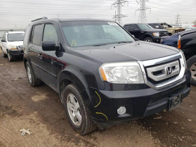 HONDA PILOT EXLN 2011 with VIN 5FNYF4H78BB069680 - Photo from auction