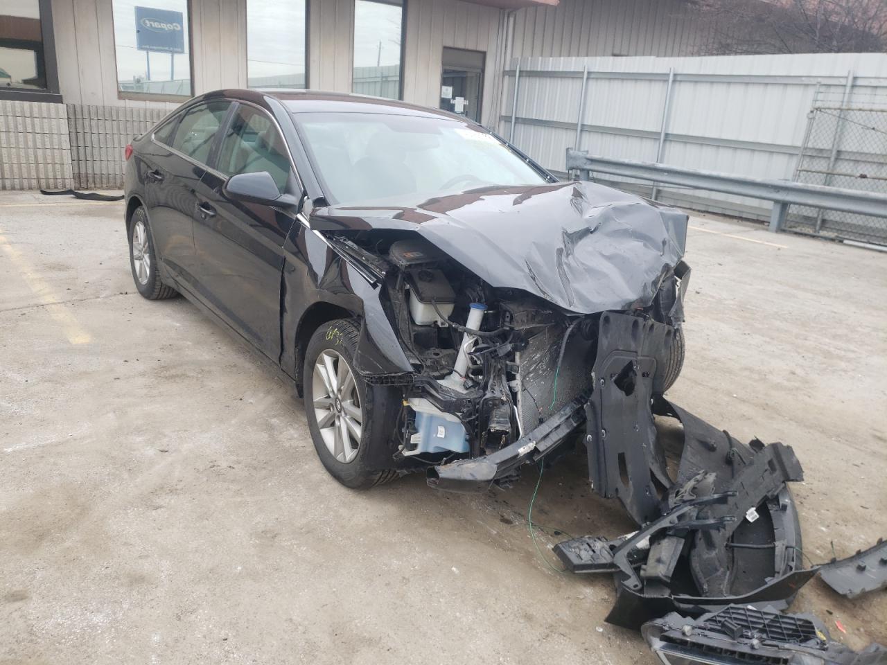HYUNDAI SONATA SE 2016 with VIN 5NPE24AF3GH263865 - Photo from auction