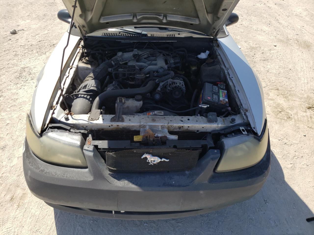 Photo 7 from auction – 2004 FORD MUSTANG with VIN 1FAFP40664F160054