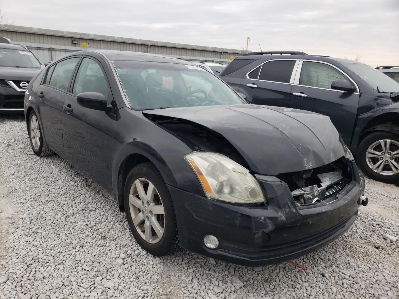 NISSAN MAXIMA SE 2006 with VIN 1N4BA41E66C846573 - Photo from auction