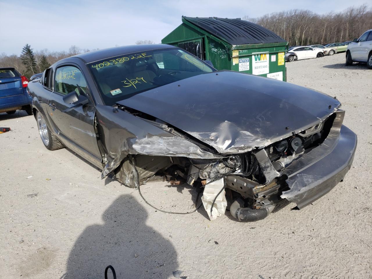 FORD MUSTANG 2005 with VIN 1ZVFT80N655166137 - Photo from auction