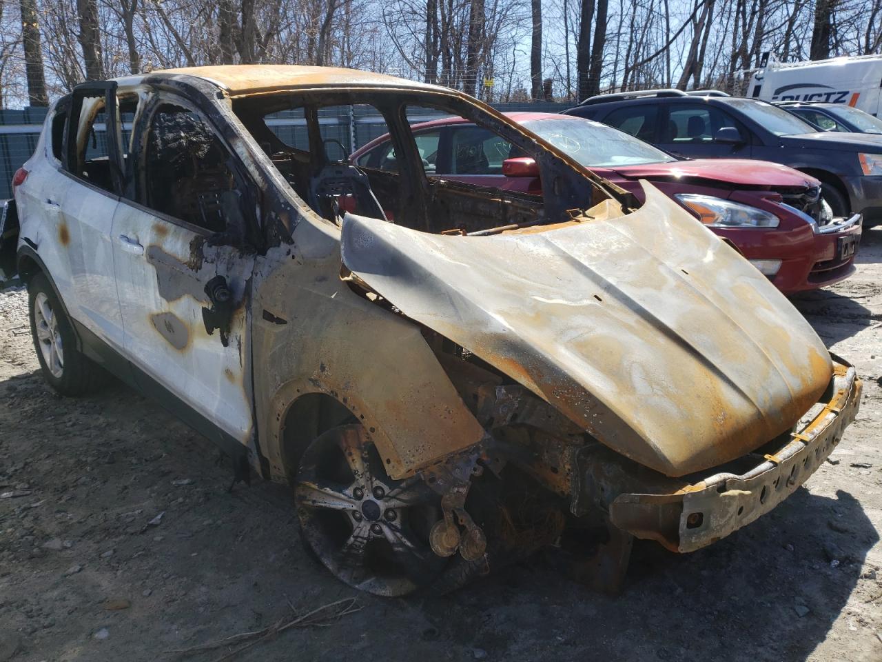 FORD ESCAPE SE 2014 with VIN 1FMCU0GX4EUB19685 - Photo from auction