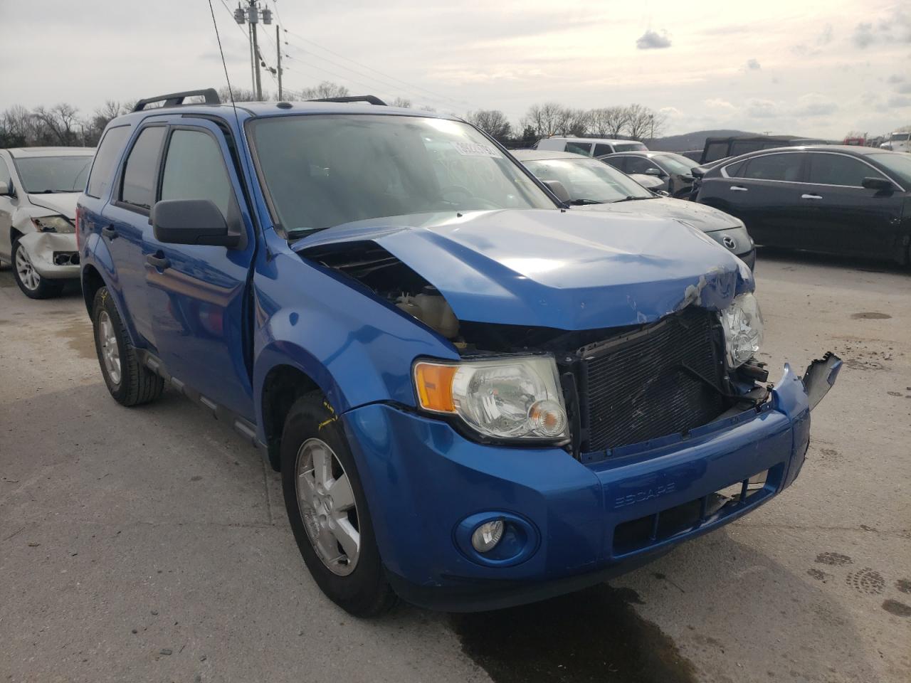 FORD ESCAPE XLT 2011 with VIN 1FMCU0D78BKB36629 - Photo from auction