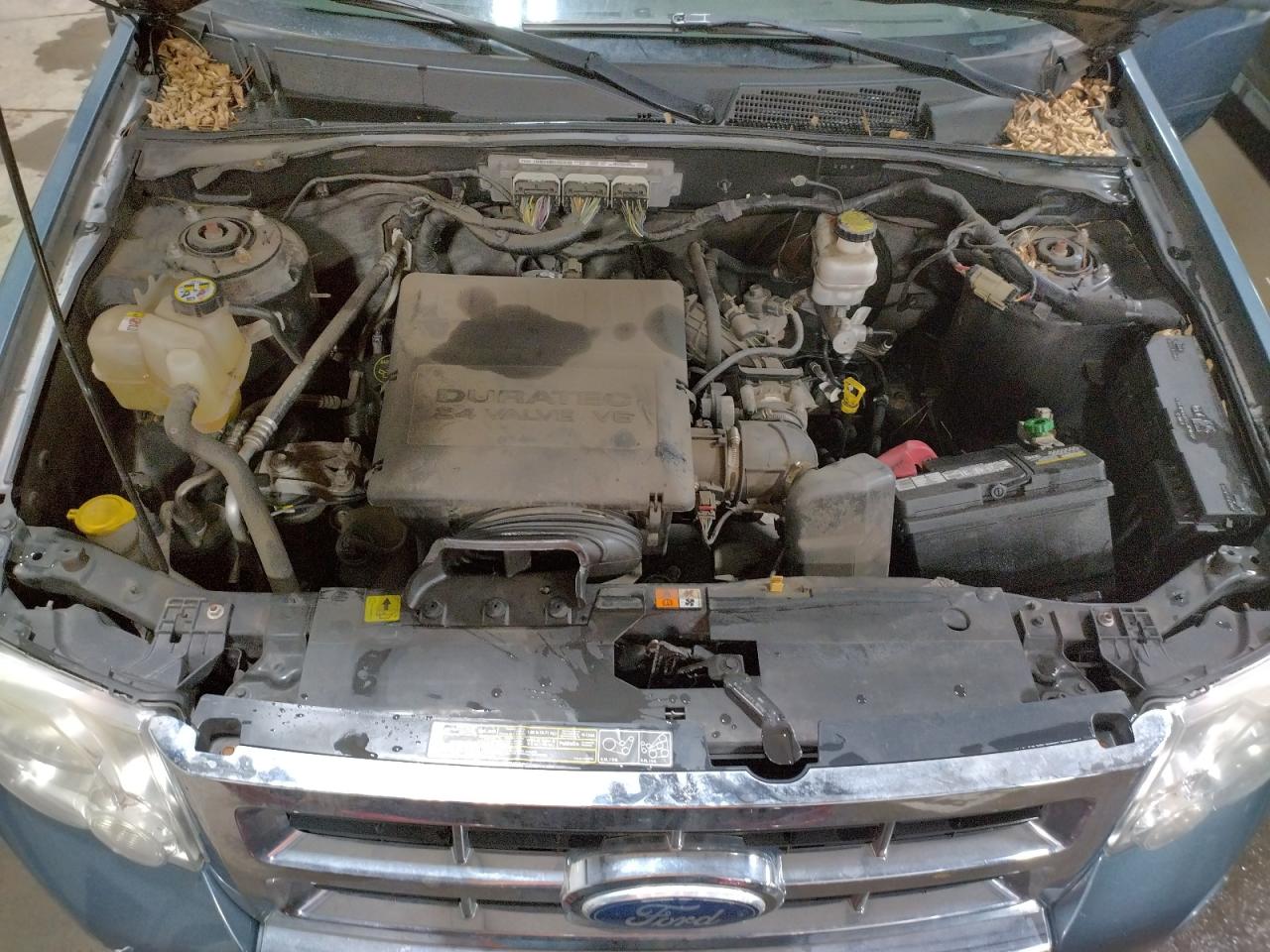 Photo 7 from auction – 2011 FORD ESCAPE LIM with VIN 1FMCU9EG7BKA38467