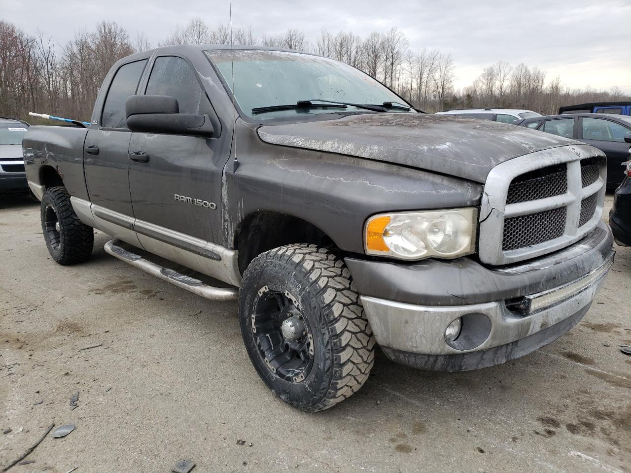 DODGE RAM 1500 2002 with VIN 1D7HU18Z22S571809 - Photo from auction